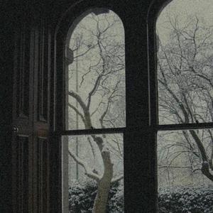 交易在线小龟导航
